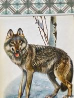 Willi Tismer - Wolf - jaren 1950