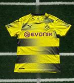 Borrusia Dortmund - Championnat dAllemagne de Football -, Nieuw