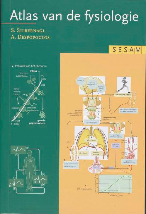 Sesam atlas van de fysiologie 9789055745883 S. Silbernagl, Boeken, Wetenschap, Gelezen, Verzenden