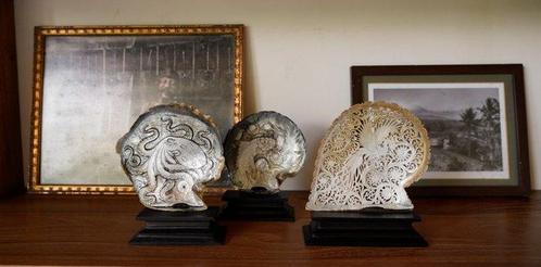 Coquille de nacre finement sculptée - Motif de crâne humain, Verzamelen, Dierenverzamelingen