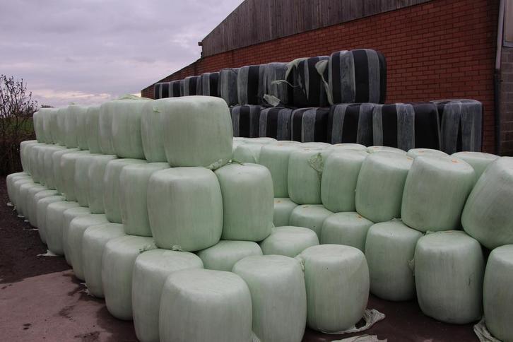 Maisbalen, Dieren en Toebehoren, Dierenvoeding, Overige soorten, Ophalen