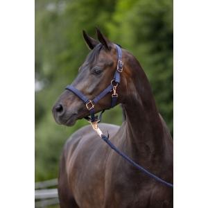 Licol classy - navy - pony, Animaux & Accessoires, Chevaux & Poneys | Autres trucs de cheval