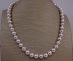 Halsketting ALGT gecertificeerde Akoya parels - 8,0x8,3 mm,, Handtassen en Accessoires, Nieuw