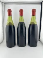 1964 Patriarche Pere e Fils - Nuits St. Georges - 3, Verzamelen, Nieuw