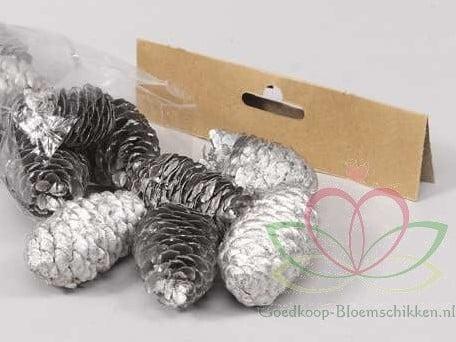 Dennenappel Ray Cones Zilver 100 gram kleinverpakking, Hobby en Vrije tijd, Knutselen, Nieuw