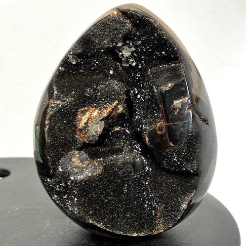 Septaria Wild Black Crystals Fine Large Wild Septaria Black, Verzamelen, Mineralen en Fossielen
