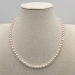 Zonder minimumprijs - Halsketting Zilver Parel - Akoya 6.0mm, Nieuw