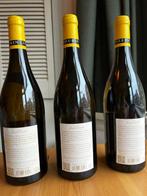 2020 Joseph Drouhin - Puligny Montrachet - 3 Flessen (0.75, Nieuw