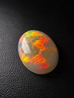 Sans Prix de Réserve Blanc, Multicolore Opale - 12.53 ct -