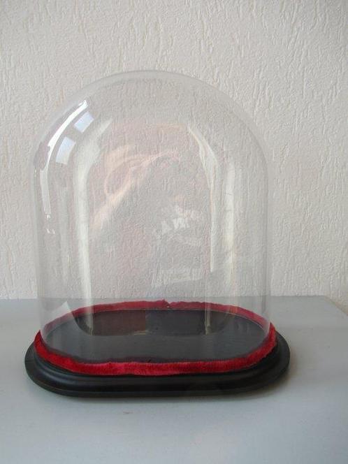 Stolp - Glas en hout - 1900-1910, Antiek en Kunst, Antiek | Overige Antiek