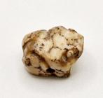 Bactrische of Sino-Siberische Beoold marmer XXS Kikker Bedel