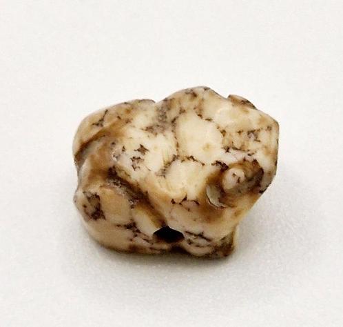 Bactrische of Sino-Siberische Beoold marmer XXS Kikker Bedel, Antiek en Kunst, Antiek | Overige Antiek