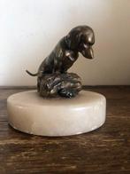 Figurine - Zeldzaam Antiek Bronzen Beeld – Teckel op, Antiek en Kunst