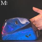 AMBRA SUMATRA Fossiele barnsteenmonster uit Sumatra -