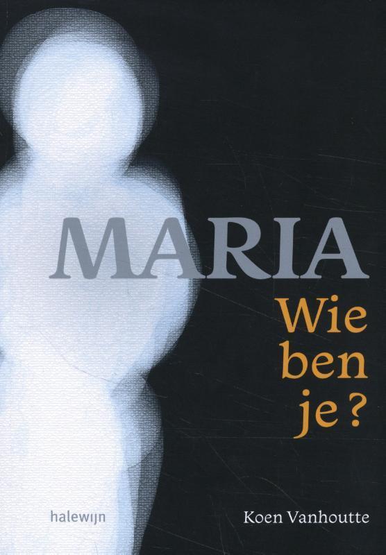 Maria, wie ben je? 9789085286073 Koen Vanhoutte, Boeken, Godsdienst en Theologie, Gelezen, Verzenden