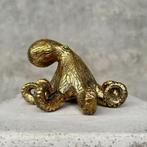 sculptuur, FREE SHIPPING EU MAINLAND -  A Polished Octopus, Antiek en Kunst