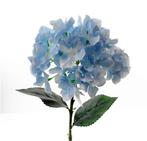 Hortensia 45cm. SINGLE HYDRANGEA Blue Hortensia Blauw