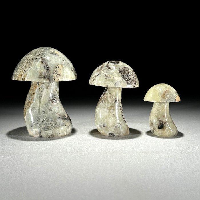 Geen minimumprijs - Prachtige set van 3 onyx, Antiek en Kunst, Kunst | Designobjecten