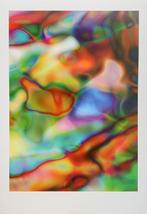Thomas Ruff (1958), after - Substrat 2 l 2002 - Print - 100