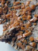 Wulfenite Cristal sur matrice - Hauteur : 17.5 cm - Largeur