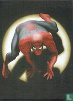 Box Marvels [vol] - 2018, Boeken, Stripverhalen, Meerdere stripboeken, Verzenden, Zo goed als nieuw, Busiek, Kurt.