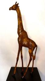 Abdoulaye Derme - sculptuur, Grande Girafe - 63 cm - Koud