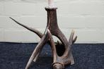 Red Stag candle holder Schedel - Cervus elaphus - 25 cm - 26, Verzamelen, Dierenverzamelingen, Nieuw