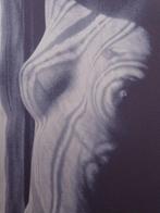 Man Ray (Emmanuel Radnitsky, dit, 1890-1976) - Nude