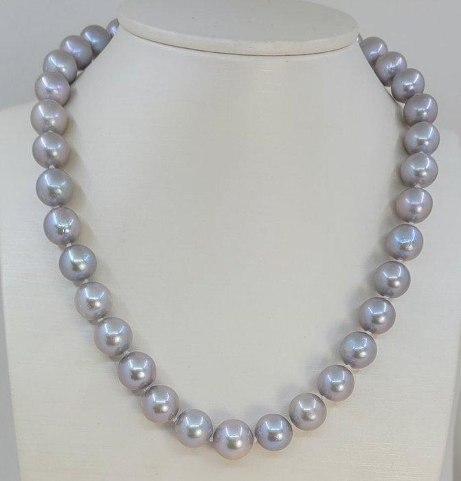 Halsketting 11×13 mm grijze Edison parels, Zilver, Handtassen en Accessoires, Kettingen