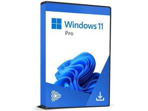 Veiling - Windows 11 Professional - Software Licentie, Computers en Software, Overige Computers en Software