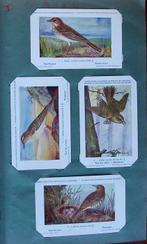 350 postkaarten vogels, Koninklijk natuurhistorisch museum