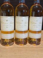 1998 Chateau dYquem - Sauternes 1er Cru Supérieur - 6, Collections, Vins
