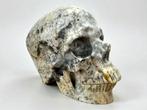 Crazy Lace Agate Skull Gesneden schedel - Crazy Lace - 9.5