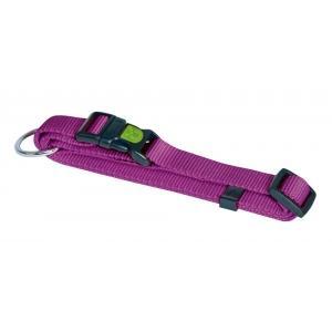 Collier pour chien miami violet, 10 mm, 20 - 35 cm, Animaux & Accessoires, Accessoires pour chiens