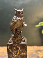 Milo (1910-1978) - Beeld, Bos uil - 28 cm - Brons, Marmer, Antiek en Kunst