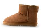 Ugg Enkellaarzen in maat 42 Bruin, Kleding | Dames, Schoenen, Bruin, Verzenden, Lage of Enkellaarzen, Zo goed als nieuw