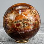 Natuurlijke versteende houten bal van Madagaskar- 554.93 g