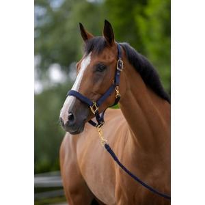 Licol topline - navy - pony, Animaux & Accessoires, Chevaux & Poneys | Autres trucs de cheval