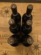 2024 Argiano, Rosso di Montalcino - Toscane - 6 Flessen, Nieuw