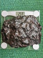 Gibeon meteoriet IJzer meteoriet - 25.9 kg