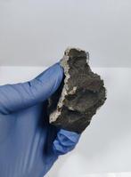 NWA L6 S2 W2 met fusiekorst Chondrite meteoriet - 216 g