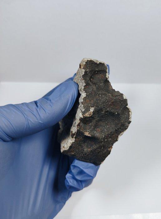 NWA L6 S2 W2 met fusiekorst Chondrite meteoriet - 216 g, Verzamelen, Mineralen en Fossielen