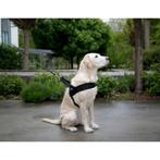 Miami plus harnas 70 - 90cm halsriem: 52cm-50mm, zwart -, Nieuw
