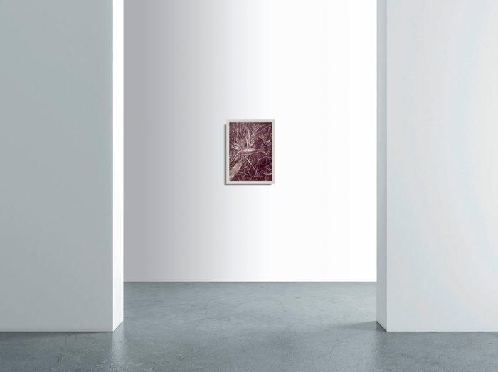 N. Magro -  Aubergine Clair (Birds of Paradise), Antiquités & Art, Art | Objets design