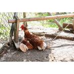 Crochet 111 cm - kerbl, Dieren en Toebehoren