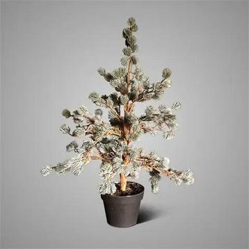 Brynxz Larix kunst kerstboom  in pot 70  cm x H 80 cm beschikbaar voor biedingen