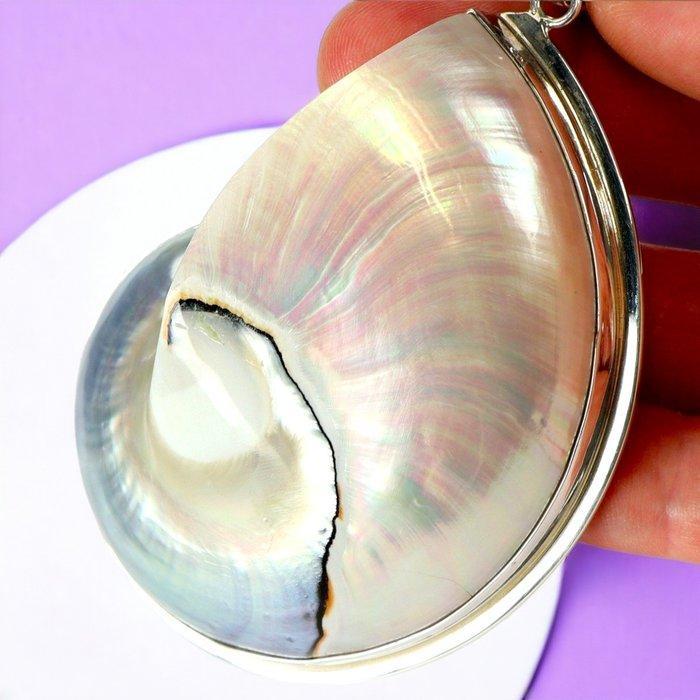 Prachtige mamma van parelmoer nautilus schelp Exclusieve, Verzamelen, Mineralen en Fossielen