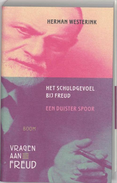 Het schuldgevoel bij Freud / Vragen aan Freud 9789085061243, Boeken, Filosofie, Gelezen, Verzenden