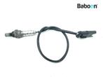 Capteur doxygène BMW K 1300 GT (K1300GT) (7672785), Motoren, Verzenden, Nieuw
