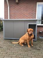 2 jaar garantie! Geisoleerd hondenhok GRATIS THUIS  Nachthok, Dieren en Toebehoren, 110 cm of meer, Gebruikt, Hondenhok, 65 tot 100 cm